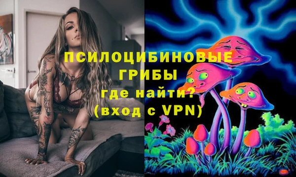 ПСИЛОЦИБИНОВЫЕ ГРИБЫ Алексеевка