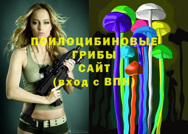 тгк Алзамай