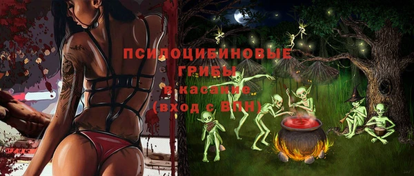 ПСИЛОЦИБИНОВЫЕ ГРИБЫ Алексеевка