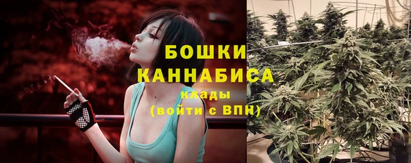 ПСИЛОЦИБИНОВЫЕ ГРИБЫ Алексеевка