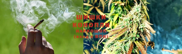 ПСИЛОЦИБИНОВЫЕ ГРИБЫ Алексеевка