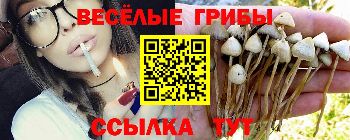 Бахчисарай  Псилоцибиновые грибы мухоморы  Вход с VPN 